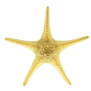 Aqua-Pro ARITIFICIAL LIVE CORAL звезда морская пластиковая, L410 x W410 x H80мм