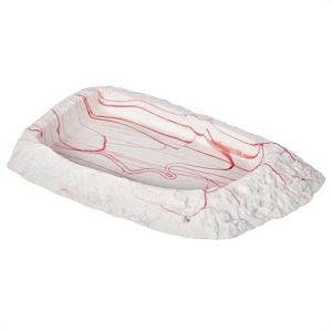 Миска Nomoy Pet «Розовые линии XL», 18×8,5×2 см