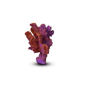 Коралл Бранч Темно-фиолетовый 15х12×10 см