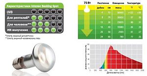 Exo Terra INTENSE BASKING SPOT террариумная лампа дневного света для баскинга, 50&nbsp;Вт