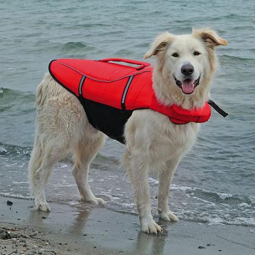 Спасательный жилет TRIXIE для собак, S: 36 см, (42-66 см, 20 кг), красный, черный