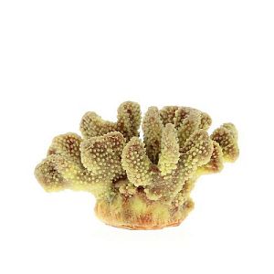 Коралл VITALITY мягкий, пластик, желтый, 19x13×10,5 см