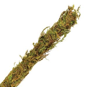 Лиана Repti-Zoo искусственная со мхом, 20×2000 мм