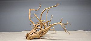 Коряга Сакура М, 30&minus;40&nbsp;см