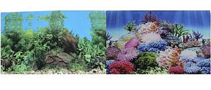 Фон PRIME двусторонний Коралловый рай/Подводный пейзаж, 60×150 см