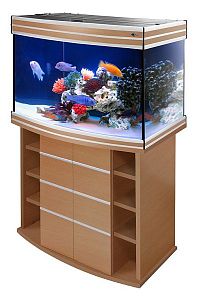 Морской аквариум с&nbsp;тумбой STELLEX AQUA 135, 135&nbsp;л, 81x41&times;132&nbsp;см