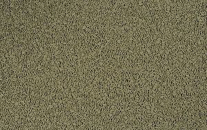 Корм Корм Tetra ReptoMin Junior для молодых черепах, 250&nbsp;мл