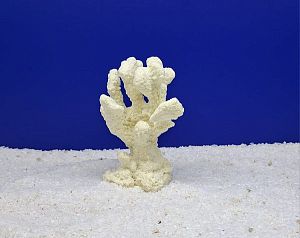 Кр-700 Коралл Белый, 10х6×14 см