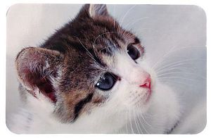 Коврик TRIXIE под миску, фото кошки, 43×28 см