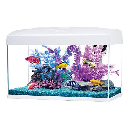 Аквариум AA-Aquariums Basic 54 л, белый, 585х305х385 мм