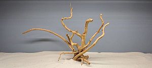 Коряга Сакура М, 30&minus;40&nbsp;см