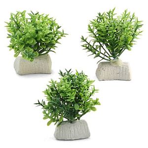 Растение Laguna «Микрантемум», 1 ветка, набор 3 шт., 50 мм