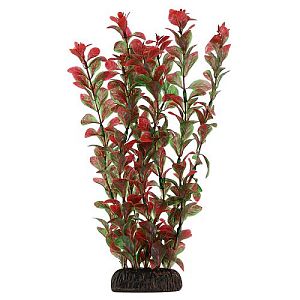 Растение Laguna «Людвигия» красная, 300 мм