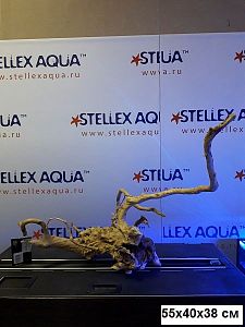 Коряга Aquael DRIFTWOOD XL&nbsp;натуральная ветвистая, размер &laquo;XL&raquo;, 60&minus;80&nbsp;см