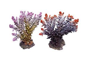 Aqua-Pro «REPLICA LIVE CORAL» коралл пластиковый, L200 x W110 x H190 мм, арт. QFS-13A