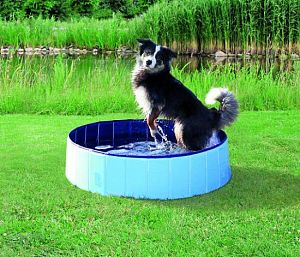 Бассейн TRIXIE для собак, D 160×30 см, голубой, синий
