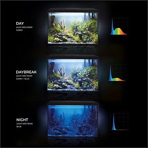 Аквариум Aquael LEDDY 60 XL D&N 2.0 прямой, 72 л