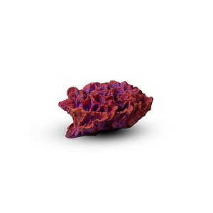 Коралл Гвоздика Темно-фиолетовый 12х10×6 см