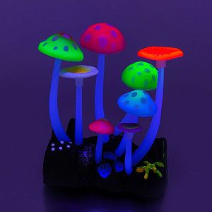 Флуоресцентная аквариумная декорация GLOXY Грибы (тип Н), 11х8×12 см
