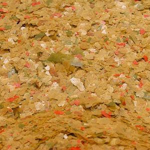 Основной корм JBL NovoRed для золотых рыб, хлопья 1 л