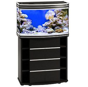 Аквариум Псевдоморе с тумбой STELLEX AQUA 135, 135 л, 81x41×132 см