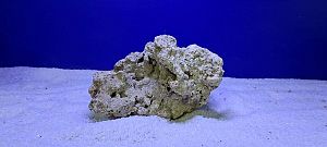 Камень сухой рифовый, цена за 1 кг