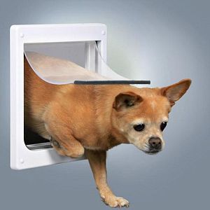Дверца TRIXIE для кошек и собак, 2 функции, 20×21 см, пластик, белый