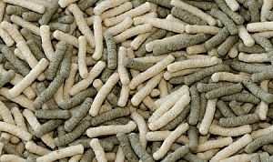 Корм Biodesign КОИ-БАЗИК для декоративных карповых рыб, плавающие палочки 11 л