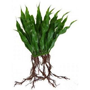 Мох яванский Hagen Marina растение пластиковое «коврик», 2 шт., 20 см