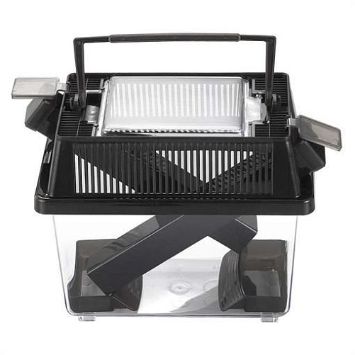 Контейнер для живого корма Gloxy CB-1, 18х11х15 см