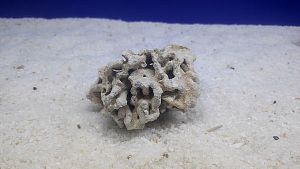 Камень сухой рифовый S, до&nbsp;10&nbsp;см, 200&minus;300&nbsp;г