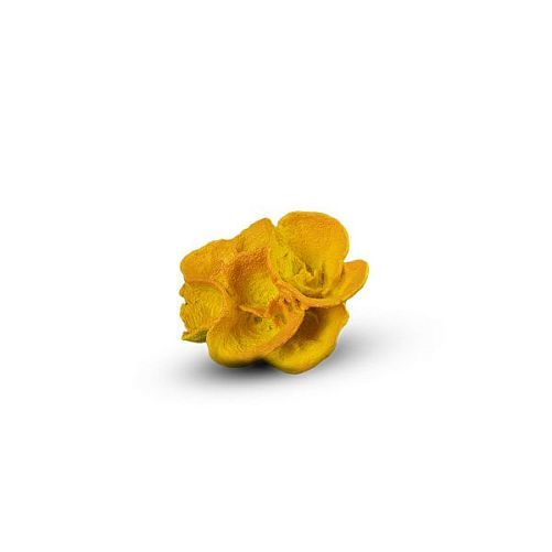 Коралл Ругоса Оранжевый 13х11х6 см