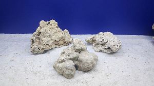 Камень сухой рифовый L, 15&times;20&nbsp;см, 800&minus;1200&nbsp;г