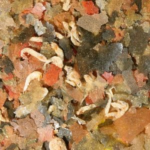 Основной корм JBL Gala премиум для пресноводных аквариумных рыб, хлопья 5,5&nbsp;л