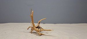 Коряга Сакура мини, до&nbsp;10&nbsp;см