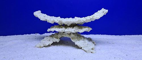 Камень Рифовый Белый, 29х13х15 см, 1100 г