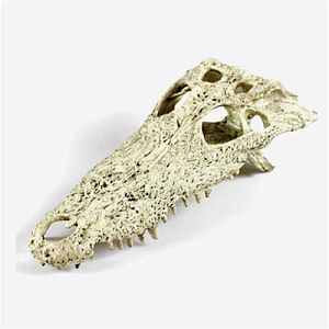 Декорация Nomoy Pet «Череп аллигатора», 22×6.5 см