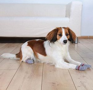 Носок TRIXIE для собак, размер XS-S, 2 шт., хлопок, серый