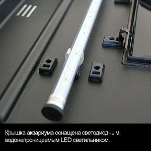 Аквариум КЛАССИК 50&nbsp;золотой орех, прямоугольный, светильник LED 8,1&nbsp;Вт, комплект оборудования