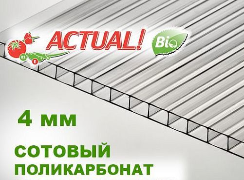 Сотовый поликарбонат Актуаль Био, 100х70 см, толщина 4 мм