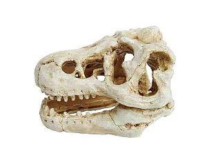 Декорация пластиковая PRIME Череп динозавра 8.5х6×6 см