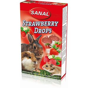 SK7350 SANAL Strawberry Drops Клубничные дропсы для грызунов, 45 г