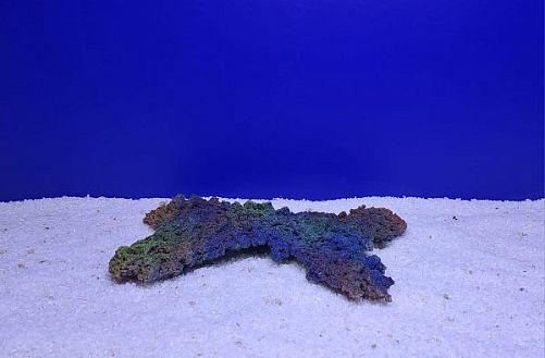 Камень Рифовый Цветной, 27х16.5х2.5 см