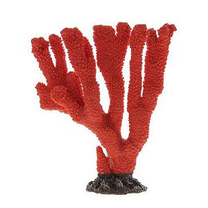 Коралл VITALITY мягкий, пластик, красный, 25х8×24 см