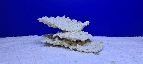 Камень Рифовый Белый, 22х13х11 см, 860 г