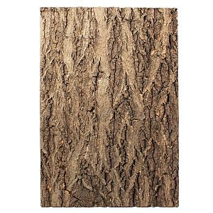 Фон Repti-Zoo натуральная кора на пробке, 560×435 мм