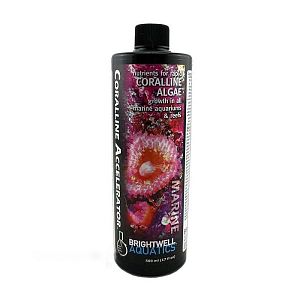 Питательные вещества Brightwell Aquatics Coralline Accelerator для быстрого роста коралловых водорослей, 500 мл