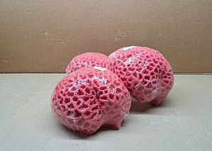 Кр-2411&nbsp;Мозговик Розовый, 17*13*9&nbsp;см