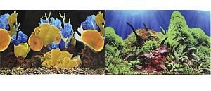 Фон PRIME двусторонний Морские кораллы/Подводный мир, 60×150 см