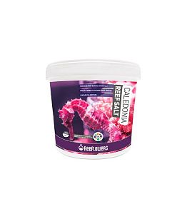 Соль ReeFlowers Caledonia Reef Salt для рифовых аквариумов, 22 кг